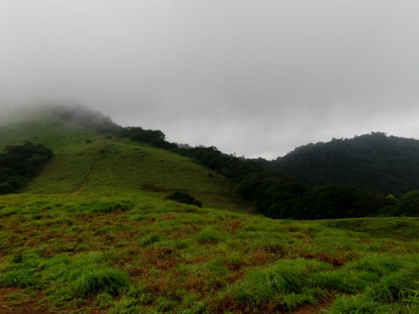 പൈതൽമല-സഞ്ചാരികളുടെ പറുദീസ പൈതൽമല-സഞ്ചാരികളുടെ പറുദീസ