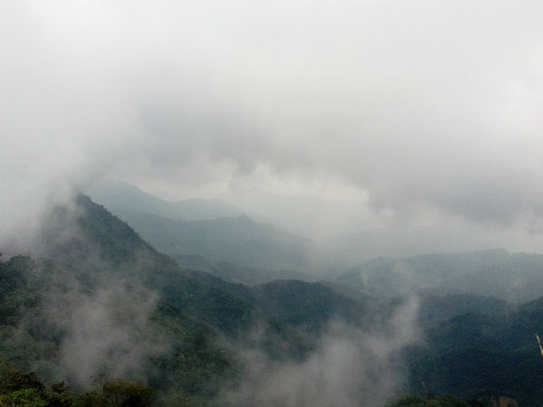 കോടമഞ്ഞിന് കുളിരുള്ള പാലക്കയംതട്ട് കോടമഞ്ഞിന് കുളിരുള്ള പാലക്കയംതട്ട്