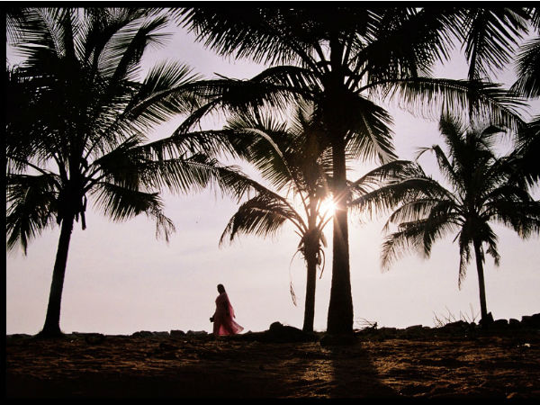 ഏകാന്തതയെ പ്രണയിക്കുന്നവര്ക്കായൊരു കടല്ത്തീരം ഏകാന്തതയെ പ്രണയിക്കുന്നവര്ക്കായൊരു കടല്ത്തീരം