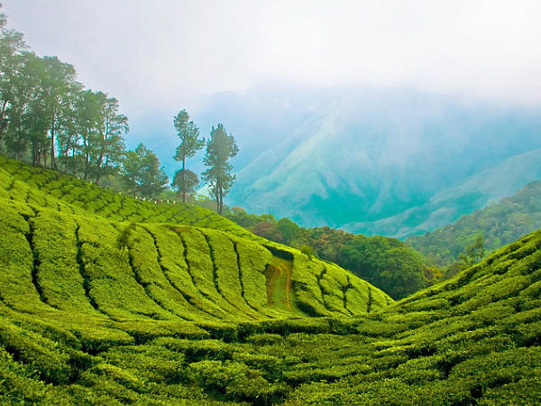 പ്രണയിക്കാൻ ഒരു മലമേട്