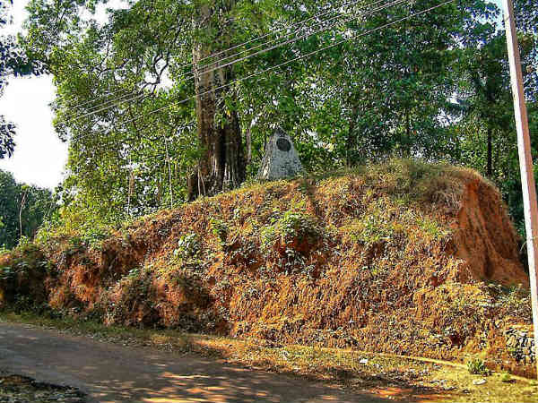 നെടുംകോട്ട
