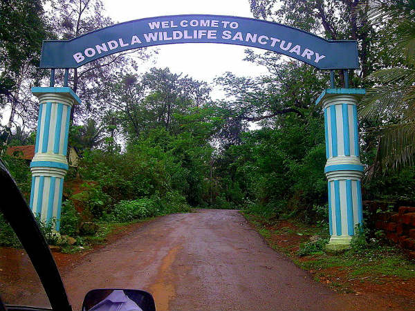 വന്യമായ സൗന്ദര്യങ്ങൾ
