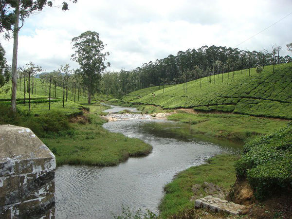 ഊട്ടി