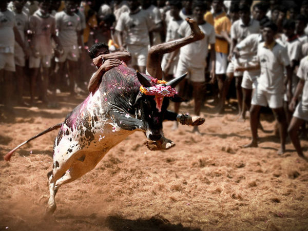 അളഗനല്ലൂർ