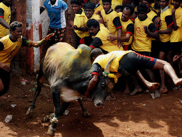 തിരുവപ്പുർ