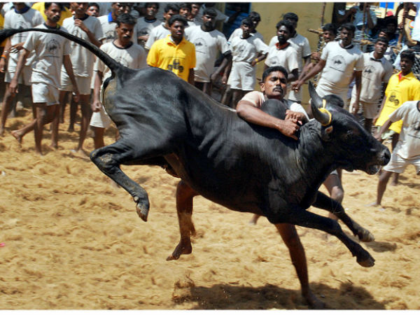 കൊണ്ടളാംപട്ടി