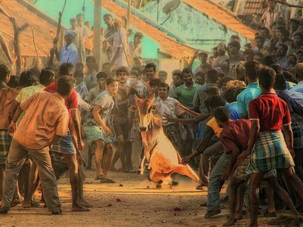 തമ്മാംപട്ടി