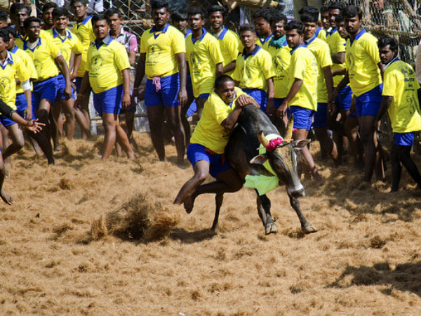 പാലംമേട്