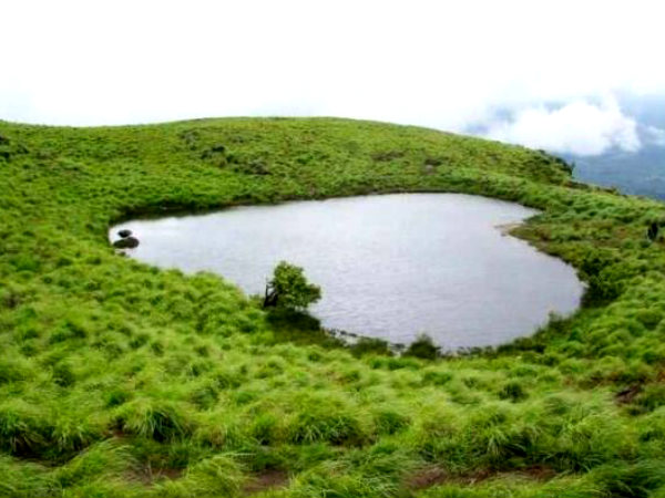 വയനാട്