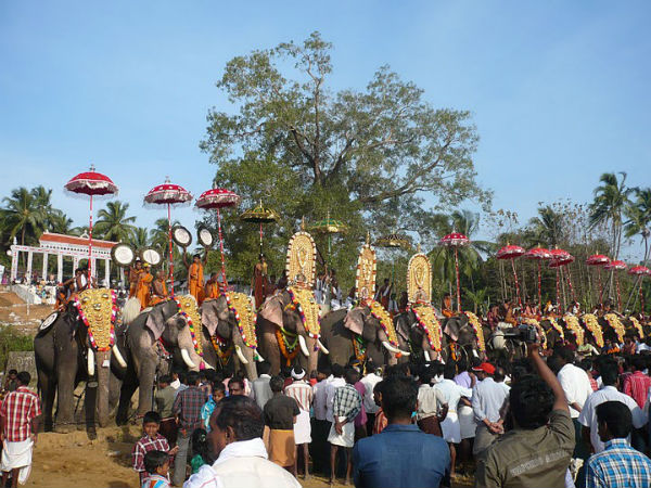 33 ആനകൾ