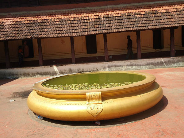 പുന്നത്തൂർ കോട്ടയിലെ കാഴ്ചകൾ