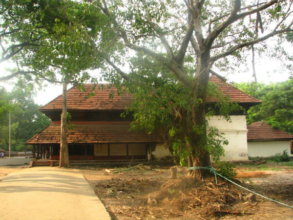 പുന്നത്തൂർ കോട്ടയിലെ കാഴ്ചകൾ