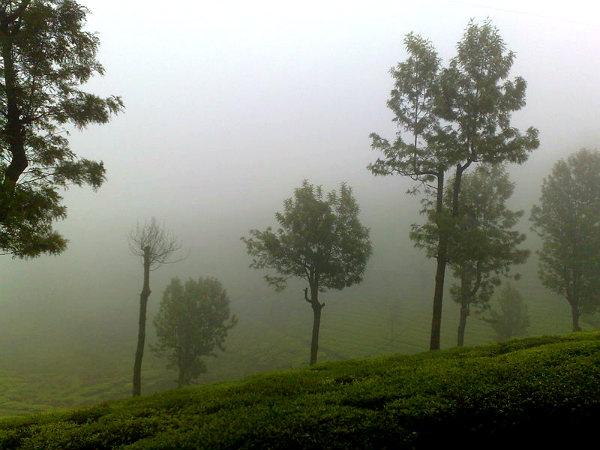 ഗ്ലെൻ മോർഗൻ