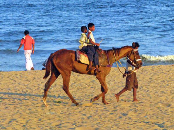 കുതിര സവാരി