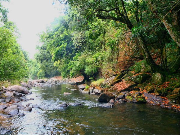 ചിന്നാർ