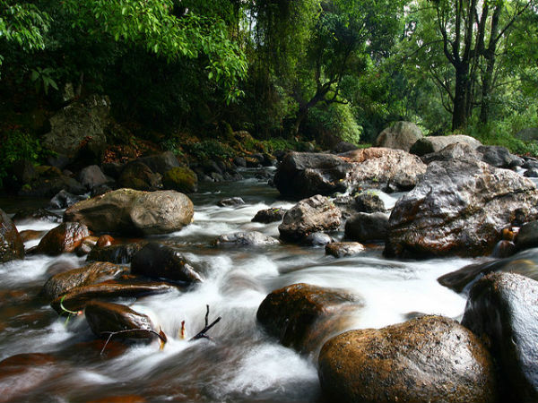 ചിന്നാർ