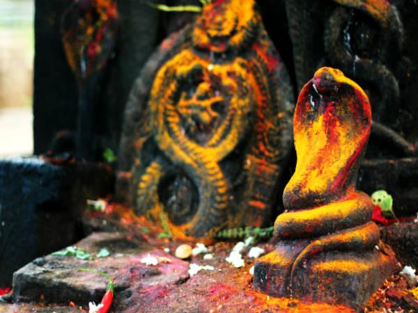 നാഗക്ഷേത്രം