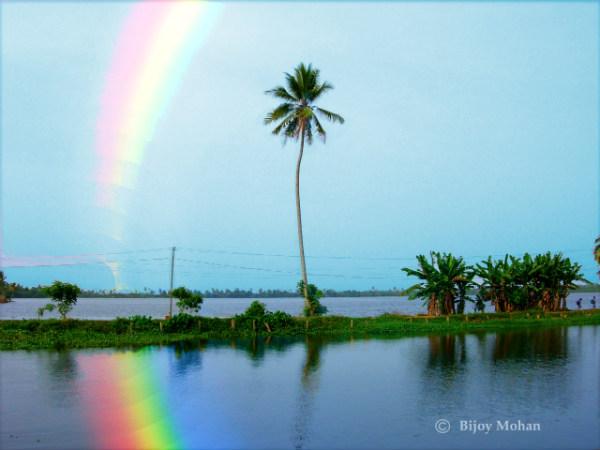 നെടുമുടി