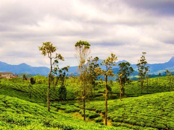 വാൽപ്പാറയിലെ ടൂറിസ്റ്റ് കേന്ദ്രങ്ങൾ