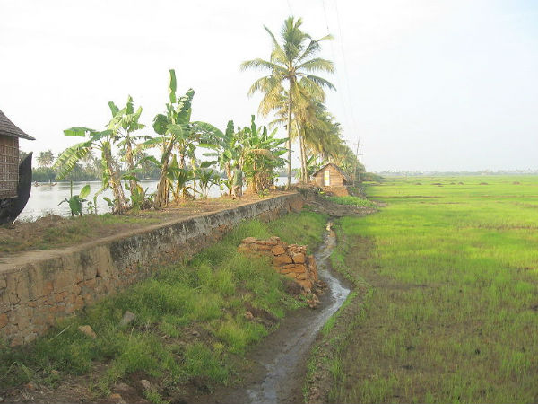 ആലപ്പുഴയുടെ സൗന്ദര്യം
