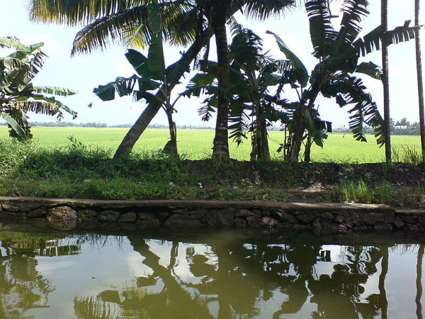 ചുട്ടനാട് കുട്ടനാട് ആയ കഥ