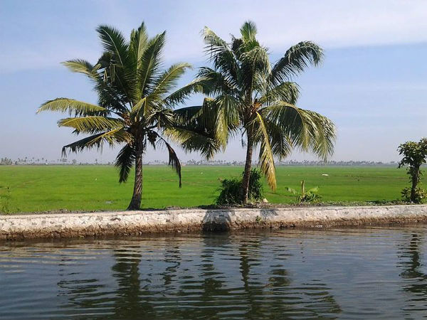 കരുമാടിക്കുട്ടൻ കഥ