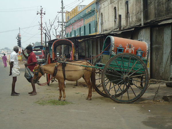 കുതിരവണ്ടിക്കാരൻ