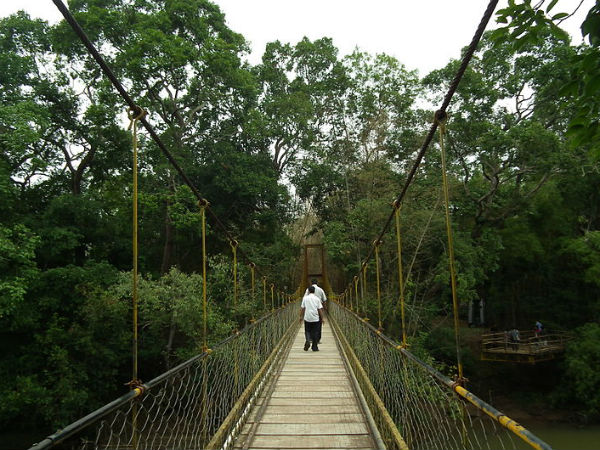തൂക്കുപാലം