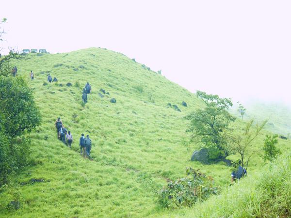 ട്രെക്കിംഗ് പാതകൾ
