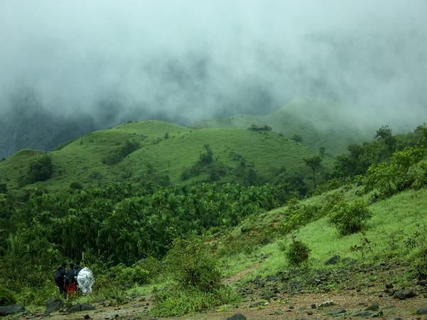 ട്രെക്കിംഗ് പാത ഘട്ടം ഘട്ടമായി നോക്കാം