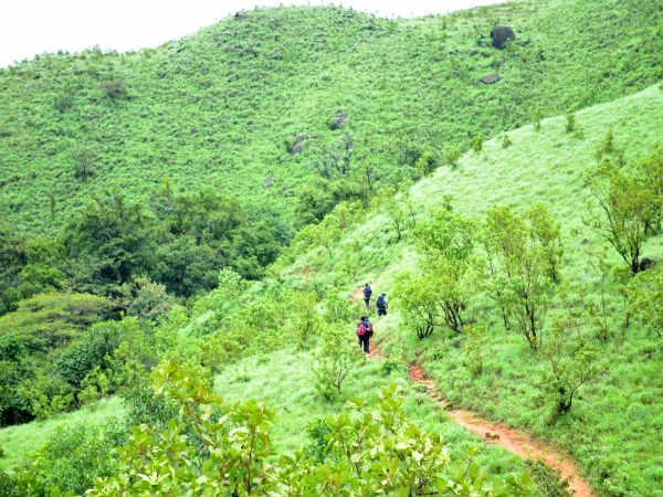 നാലാംഘട്ടം