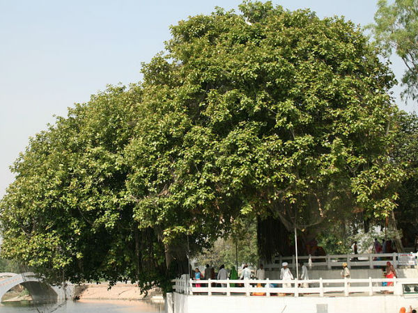 9. കുരുക്ഷേത്ര, ഹരിയാന