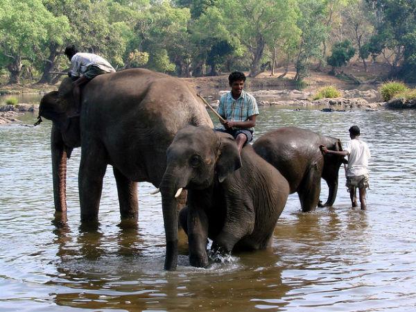 ദുബാരെ