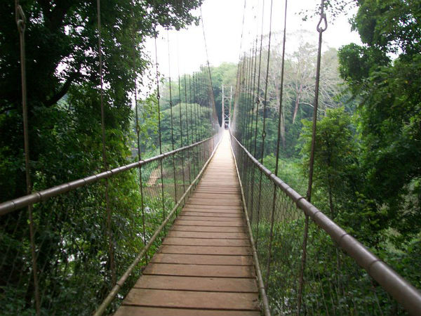 06. നിലമ്പൂർ, 60 കിമീ