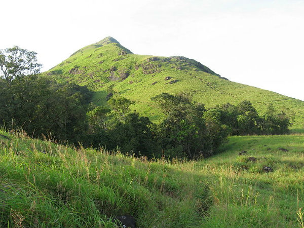 08. ചെമ്പ്രാപീക്ക്, 83 കിമീ