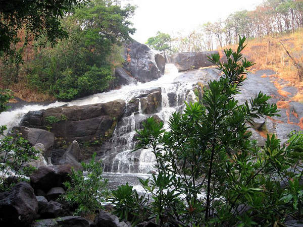 ഇക്കോ ടൂറിസം - നെയ്യാറിലേക്ക് യാത്ര പോകാം ഇക്കോ ടൂറിസം - നെയ്യാറിലേക്ക് യാത്ര പോകാം