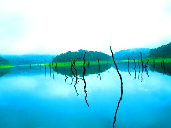 തേക്കടി