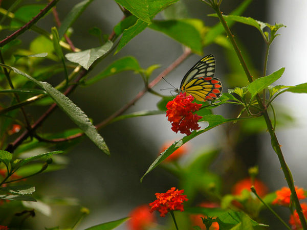 02. സ്വാതന്ത്ര്യത്തിന് മുന്പേ