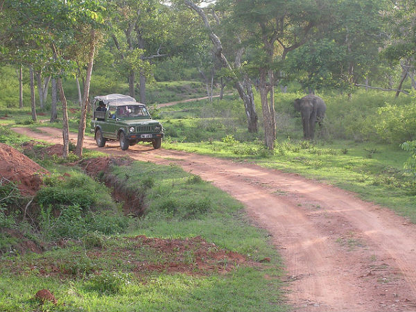 03. കാനന സവാരികള്