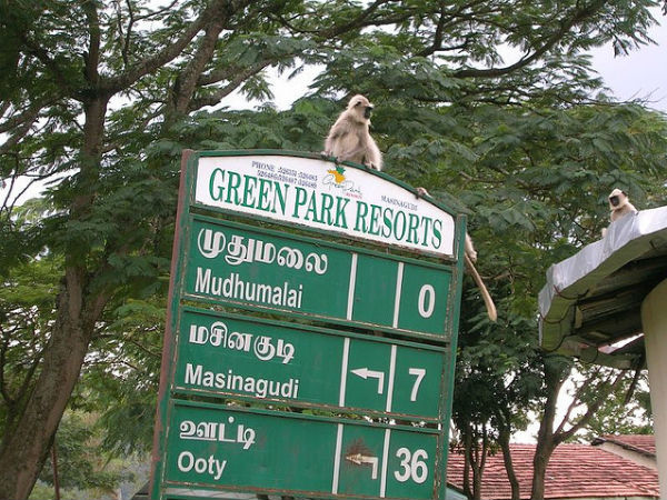 06. സുന്ദരമായ കാഴ്ചകള്
