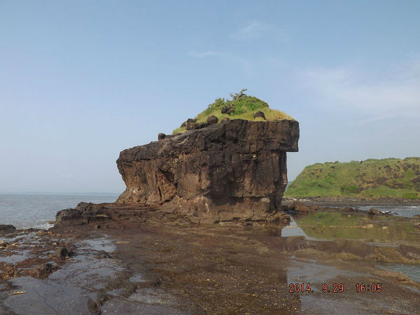 11. ദിവീഗര്
