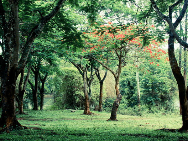 14. കൂര്ഗ്