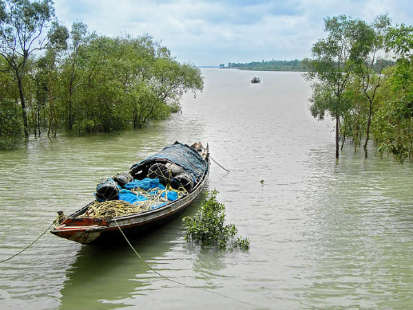 21. സുന്ദര്ബന്
