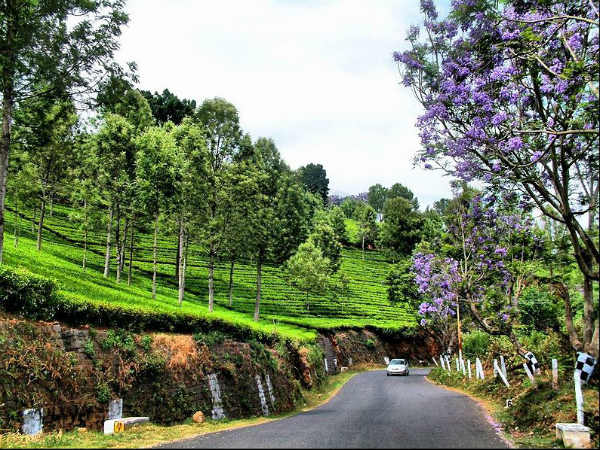 29. കുന്നൂര്