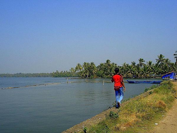 01. കുമ്പളങ്ങി