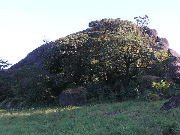 15. ബ്രഹ്മഗിരി