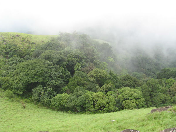 09. കോട്ടഞ്ചേരി