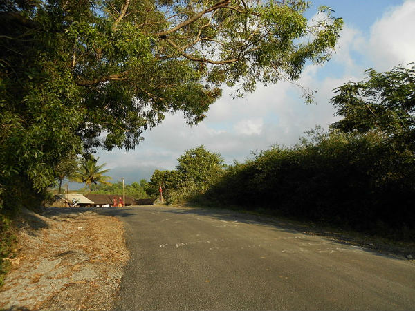 29. സയലന്റ് വാലി