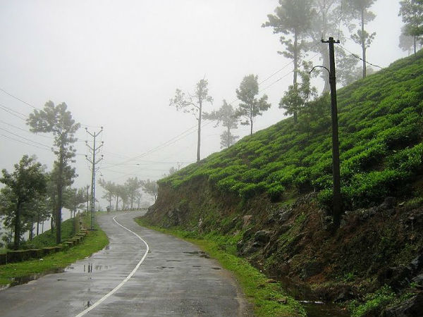 36. പീരുമേട്