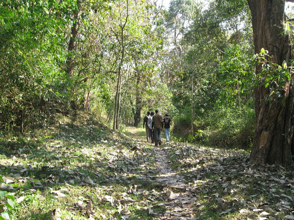 39. തേക്കടി